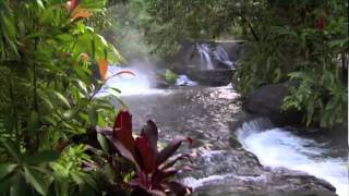 Discover Costa Rica [upl. by Arhat355]