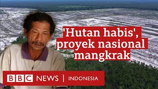 Food Estate Hutan habis ribuan hektare kebun dan sawah gagal panen  BBC News Indonesia [upl. by Lil141]