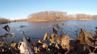 Central Illinois Duck Hunting 20132015 ft Team Towhead [upl. by Frydman]