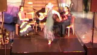 Garrotin fuegoflamenco Hamburg Antonio Fernandez [upl. by Naghem210]