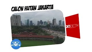 Calon Hutan Kota Jakarta di Senayan [upl. by Yrome]