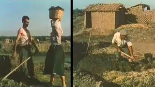 Produzione di tegole e mattoni nel Campidano di Oristano 1951 [upl. by Anytsyrk720]