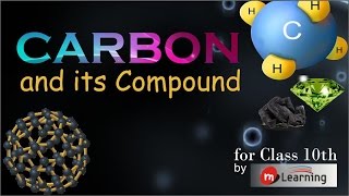 Carbon and its Compounds Organic Compounds amp Hydrocarbons  Definition  Class 10th  0312 [upl. by Jamille]