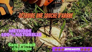 détruire une souche naturellement sans produits chimiques [upl. by Baruch]