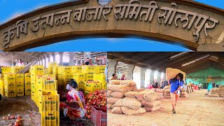 MARKET YARD SOLAPUR VLOG  APMC SOLAPUR  कृषी उत्पन्न बाजार समिती सोलापूर [upl. by Sax]