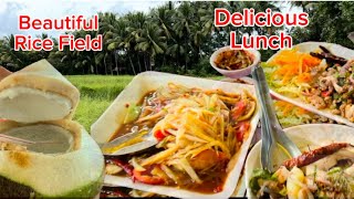 EP199 Delicious Thai Isaan Lunch and Beautiful Rice Field in Ubon [upl. by Harlin]