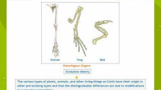 Heredity And Evolution [upl. by Ridley]