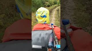 GO WALKING IN THE RAIN Its a free cleaning backpacking outdoors hiking [upl. by Joye]