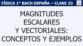 23 ESCALARES Y VECTORES [upl. by Adest]