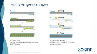 Design and optimize high multiplexing digital PCR assays with the naica® system [upl. by Fredette567]