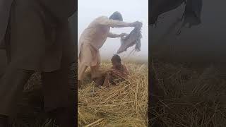 Bacha sarde say bhote capi rha tha 😱😭 shortvideo trinding viralvideos reels [upl. by Eelamme]