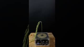 Experiment tesla coil  grass [upl. by Mcclelland403]