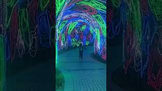 Zabeel Park  Dubai Glow Garden zabeelpark dubaiglowgarden dubai flinpereira [upl. by Mharba]