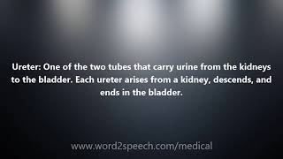 Ureter  Medical Definition and Pronunciation [upl. by Gerianne20]