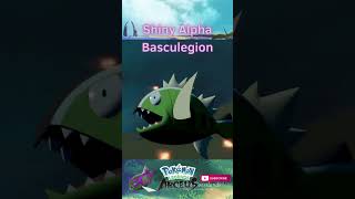 SHINY ALPHA BASCULEGION shorts shinypokemonhunter pokemonlegendsarceus shinypokemon pokemon [upl. by Nedyarb]