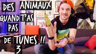 DES ANIMAUX QUAND TAS PAS DE TUNES 3  TOOPET [upl. by Terrijo]