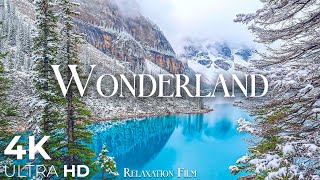 Wonderland 4K  Scenic Relaxation Film with Peaceful Relaxing Music and Winter Nature Video Ultra HD [upl. by Delmer]