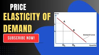 Price Elasticity of Demand Example  Arc Method [upl. by Sitnerp]