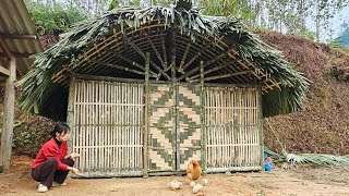 Build a 2in1 chicken coop in the ground  bamboo chicken coop [upl. by Jacob]