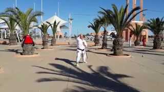 Shisochin Kata Style GojuRyu by sensei Aziz Krir  KARATE KATA [upl. by Carolyne689]