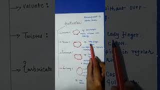 Types Of Aestivation Trick  Morphology Of Flowering Plant  Class 11 [upl. by Wordoow]