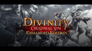 Divinity Original Sin Enhanced Edition Trailer [upl. by Eide]