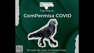 “ComPermisa Covid” la hábil estrategia del IMSS para tramitar la incapacidad laboral [upl. by Stanislas]