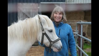 Den NOrden am Herzen Petra Teegen Pferdeklappe Norderbrarup [upl. by Orms847]