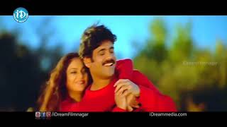 Nuvvante Nakishtam Video Song  Santosham Movie Nagarjuna Gracy Singh Shriya Saran [upl. by New]