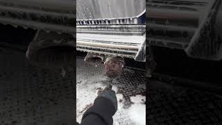 Nettoyage satisfaisant pot d’échappement carcleaning detailing satisfyingvideo [upl. by Jessey203]