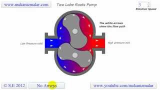 Roots Pump Two Lobe [upl. by Relyk536]