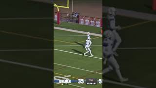 BJ Mack down the middle with a Touchdown vs Dreher High School 2024 [upl. by Melessa]