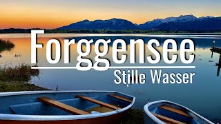 Forggensee Ostallgäu  Stille Wasser [upl. by Mundt842]