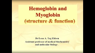 Hemoglobin and Myoglobin structure amp function [upl. by Acinonrev408]