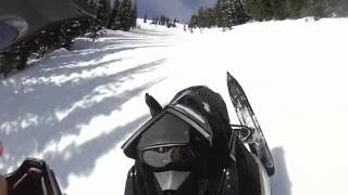 Grizzly Bear Snowmobile [upl. by Yenahs959]