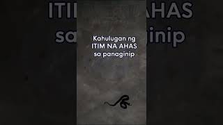 ITIM na AHAS sa panaginip anong kahulugan o ibig sabihin  Black Snakes dream meaning  Part 31 [upl. by Alisa]