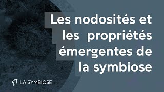 Les nodosités et les propriétés émergentes de la symbiose [upl. by Anerol]