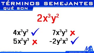 Términos semejantes [upl. by Laval]