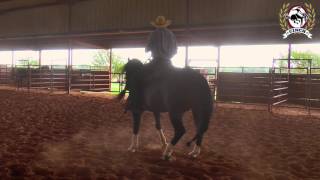 Reining Horse Training  Sliding Stop and Honest Run Downs with Scott McCutcheon [upl. by Ehgit774]