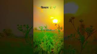 Desi reels Short video 2024 🌱🌾shorts nature viralvideo ytshorts [upl. by Nauqan]