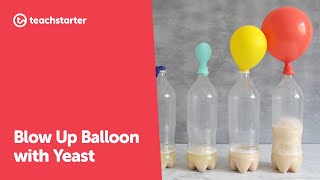 Blow Up Balloon with Yeast  Yeast Science Experiment [upl. by Nalaf]