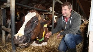 Bio und konventionell Blick in zwei MilchBauernhöfe [upl. by Seel]