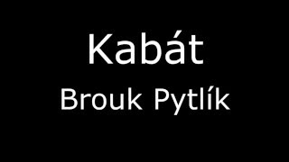 Kabát  Brouk pytlík [upl. by Josler883]