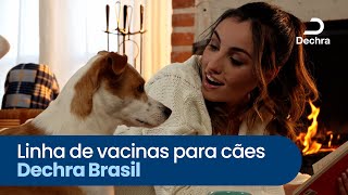 Linha de vacinas para cães Dechra Brasil [upl. by Aynor]