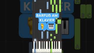 AnnenMayKantereit  Barfuß am Klavier Piano Tutorial [upl. by Enrev]