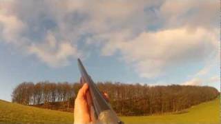 Pheasant Shooting Powis Castle  A Superb Day [upl. by Busiek]