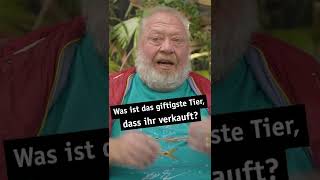 Was ist das giftigste Tier das ihr verkauft  Zoo Zajac  shorts [upl. by Dnomyaw]