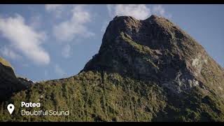 Patea Doubtful Sound New Zealand  Experience silence like youve never before [upl. by Ennaeus276]