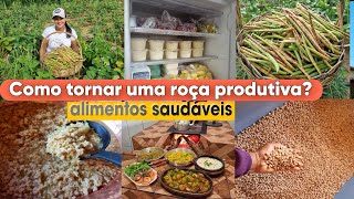 Aqui produzimos nosso próprio ALIMENTO doce de LEITE com mamão COLHEITA de feijãoalmoço e mais [upl. by Graniah]