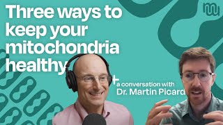 Mitochondria  The Key To Disease and Mental Health with Dr Martin Picard [upl. by Noryahs]